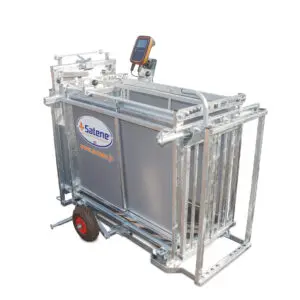 Cage de contention, pesage, soin et tri pour ovins présentée avec options pesée, porte de contention autobloquante et roues de transport escamotables