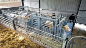Cage de contention grandes dimensions made in France CCR8000